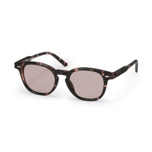 Crown Panto Sunglasses